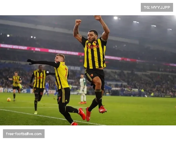 伊普斯维奇门将穆里奇失误导致失球,反映高位逼抢压力 伊普斯维奇门将穆里奇失误导致失球,反映高位逼抢压力